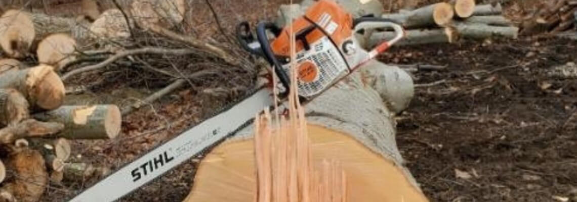 banner-stump-grinding-removal