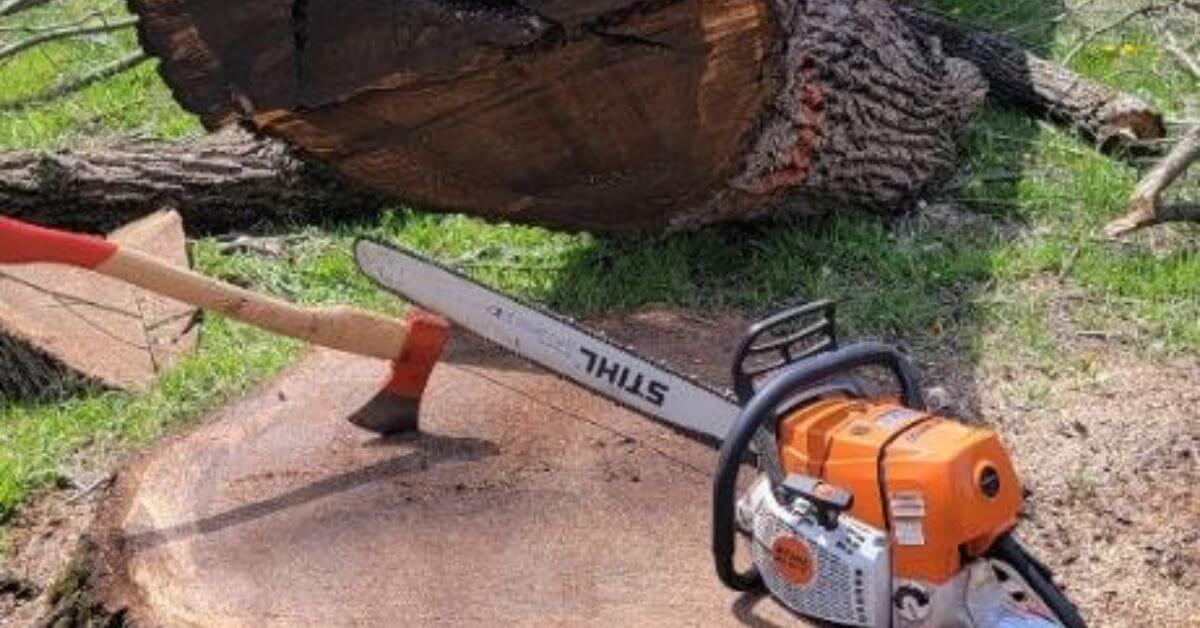 tree-removal-apm